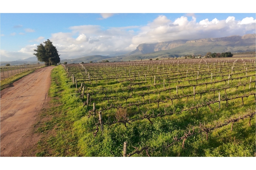 0 Bedroom Property for Sale in Klein Nederburg Western Cape